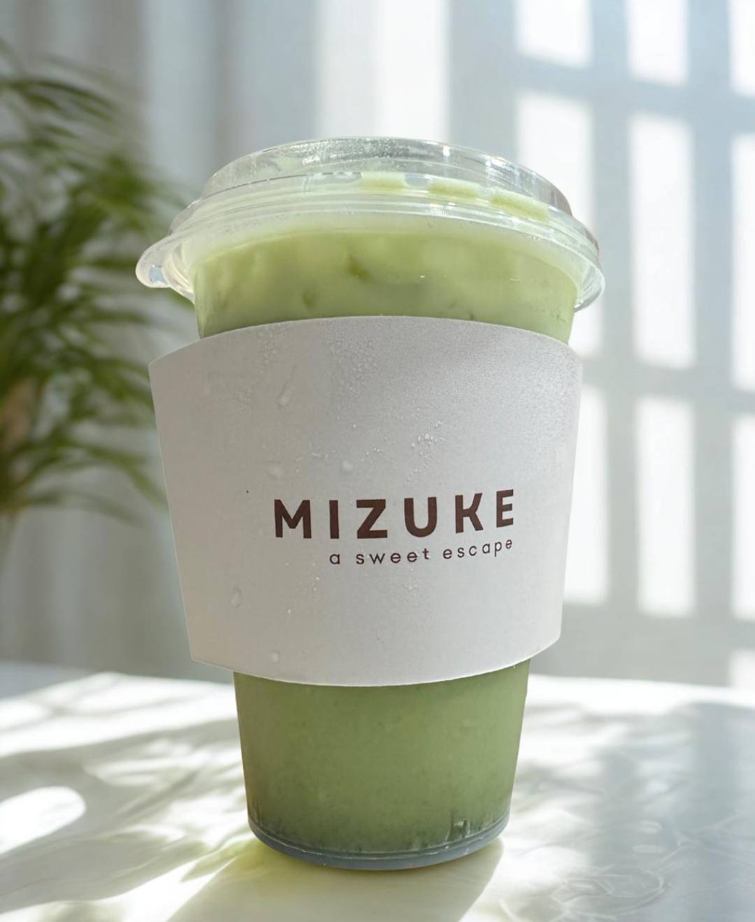 Soft Milk Matcha